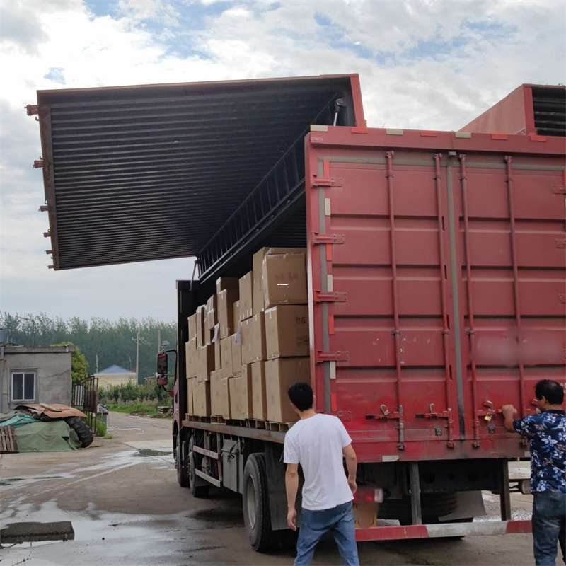 杜尔伯特县扎囊县：物流专线的高效货运之旅